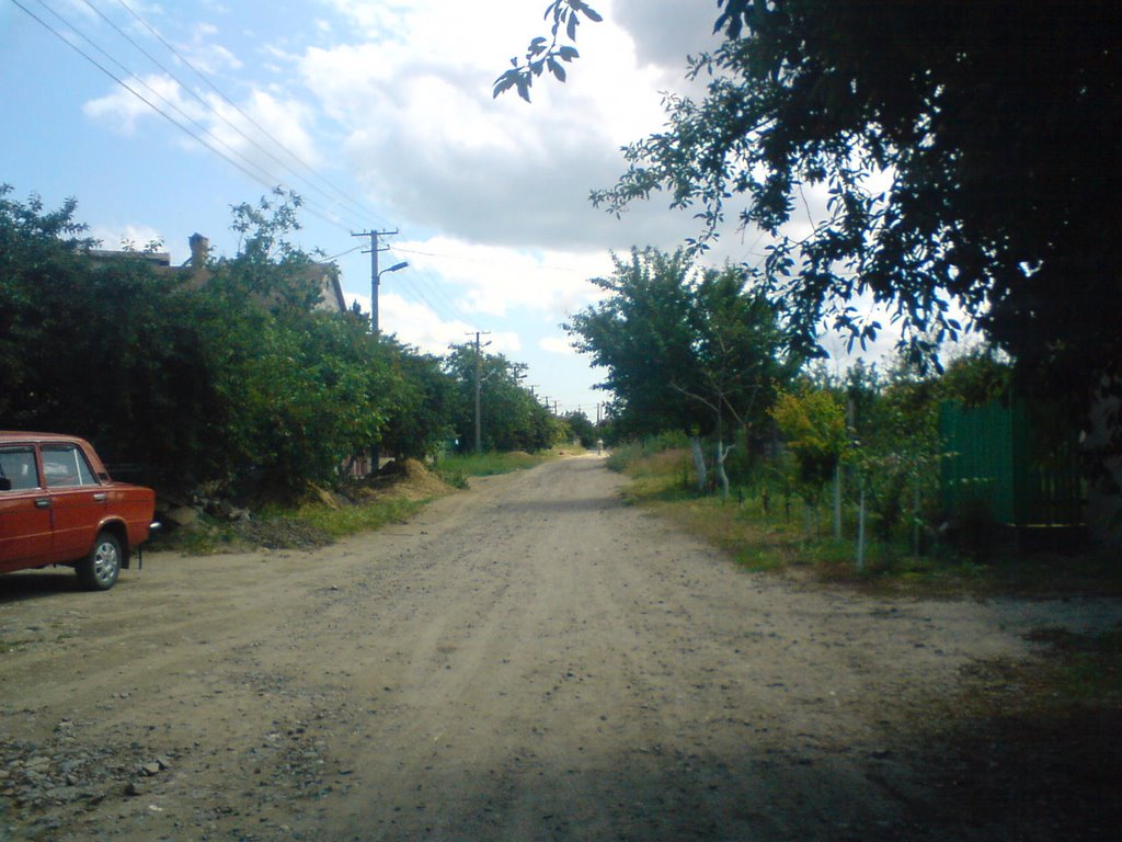 Lyhachova