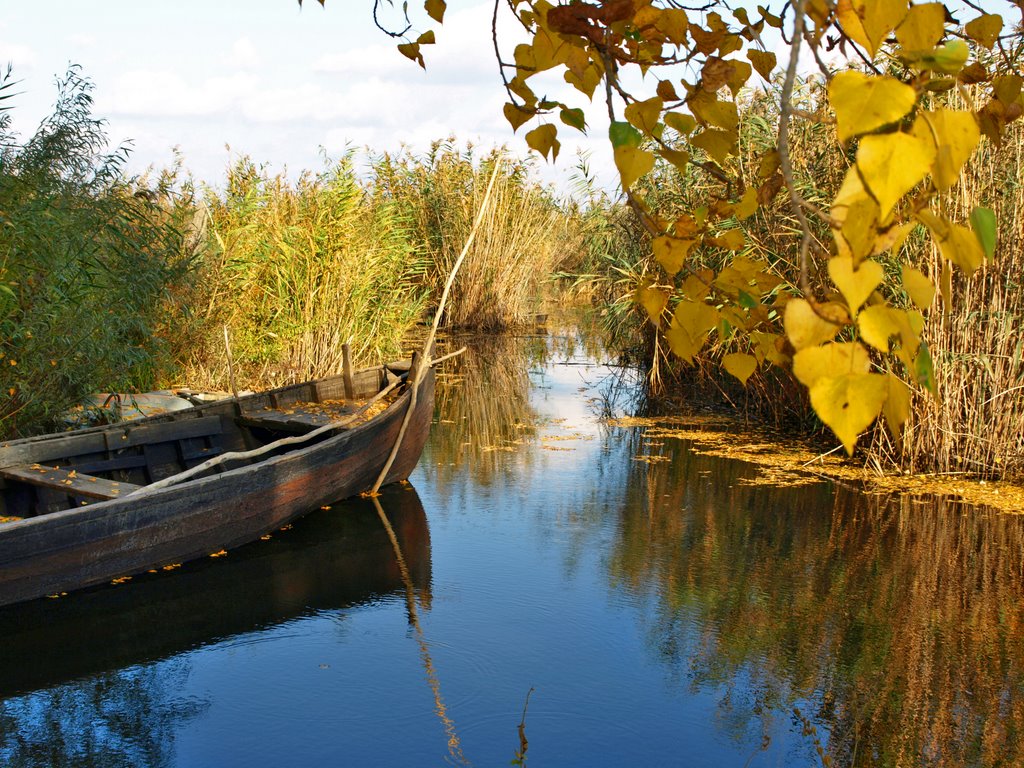 Рыбацкий рай. Чаиры.