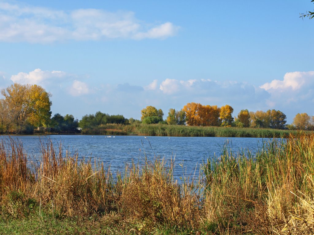 Мокрые Чаиры.