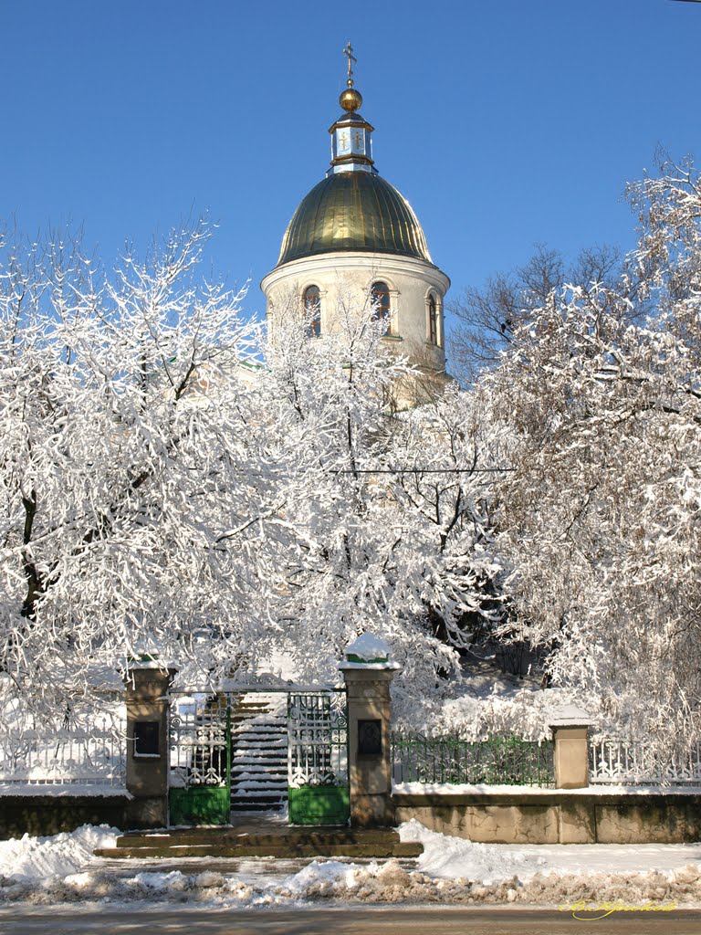 Свято-Вознесенский собор.