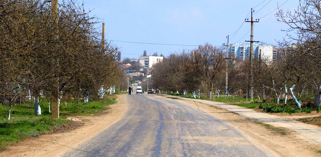 Ул. Лесная.