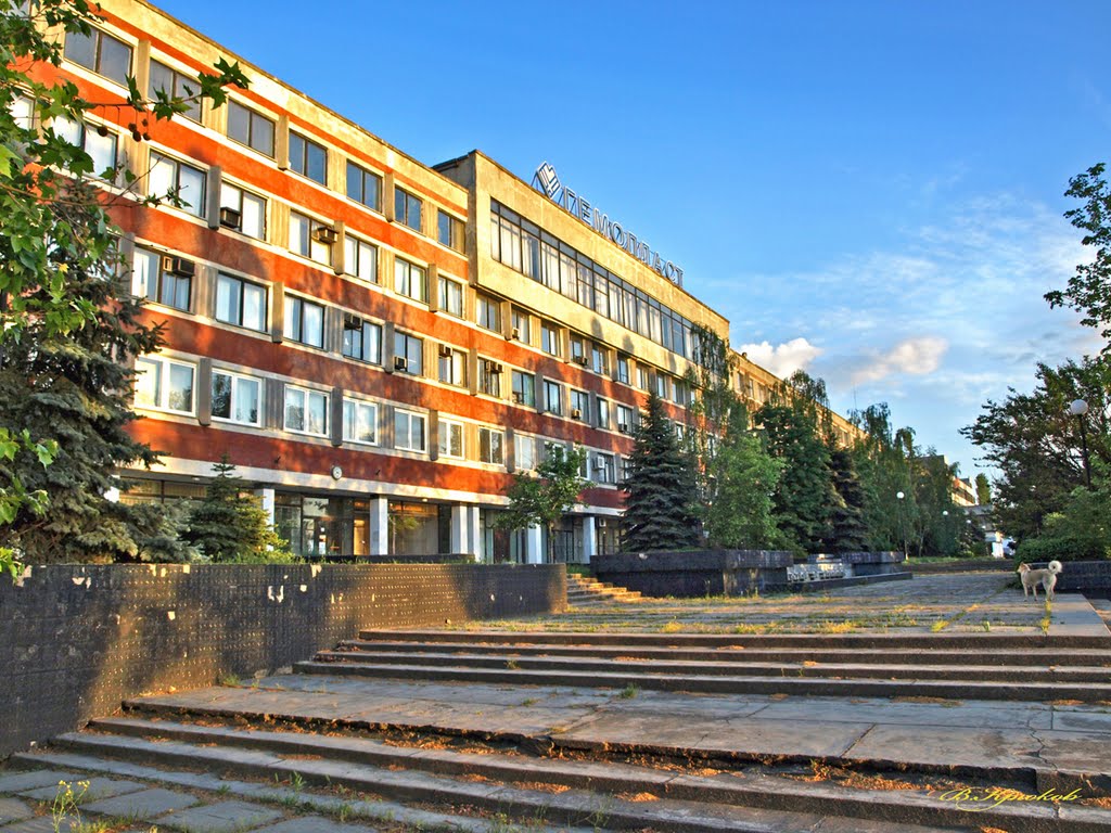 "Гемолласт "- вечерняя перспектива.