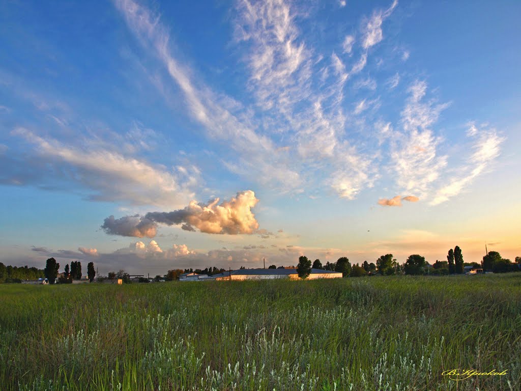 Крылатый  "Сфинкс"  вечерний.