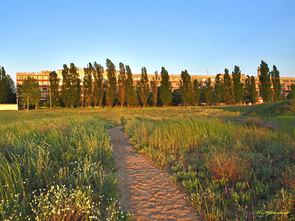 Рабочая, вечерняя тропа.