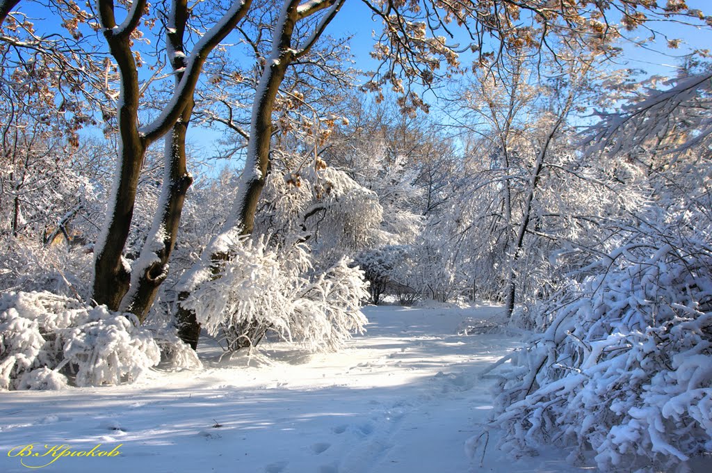 Зимний парк Мира. Peace Park in the winter.