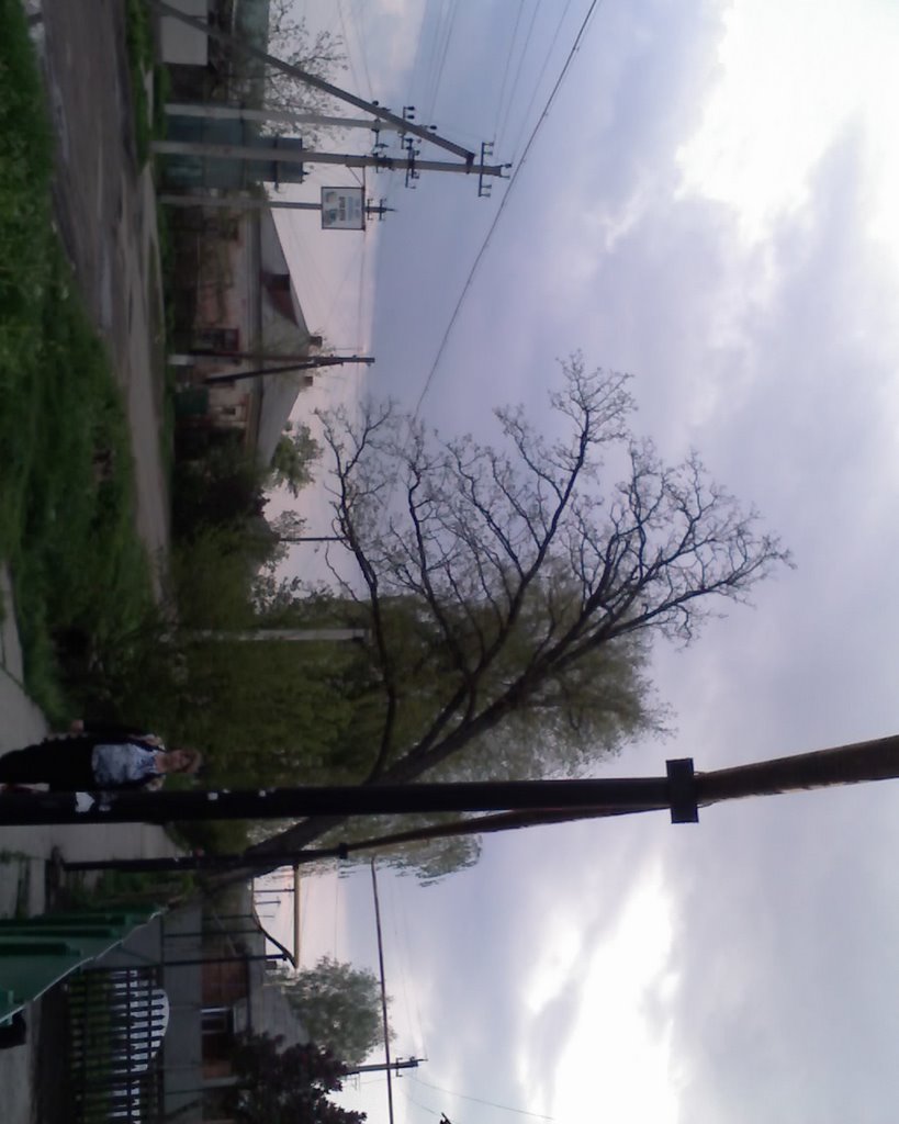Hvozdavka Druha