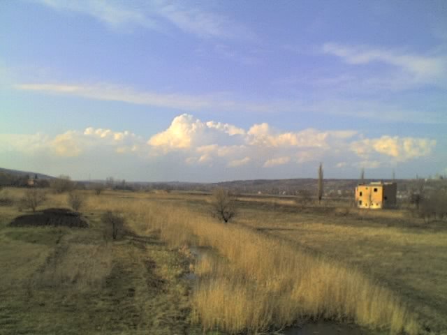 Тилигул