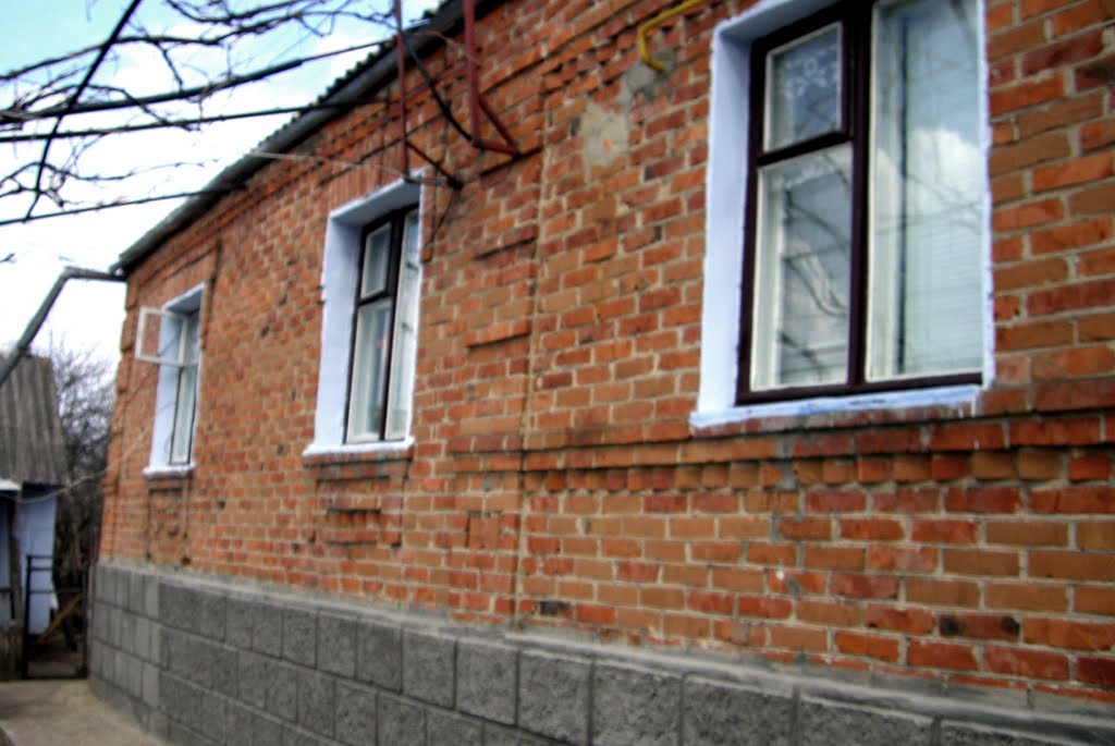 Дом моих родителей ( House of my parents)