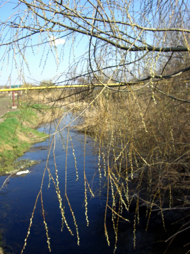 речка Кара -Балта (the small river Кара- Balta )