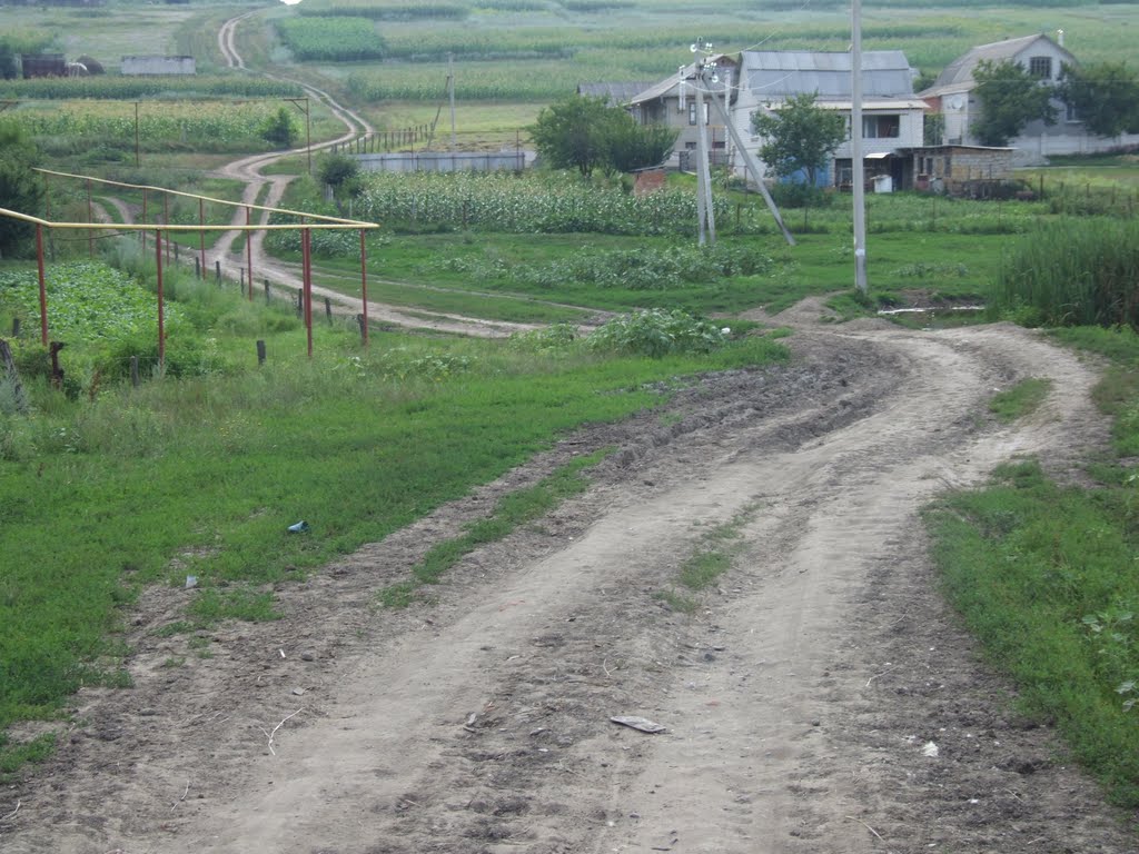 Balta landscape