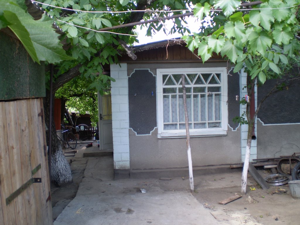 Balta