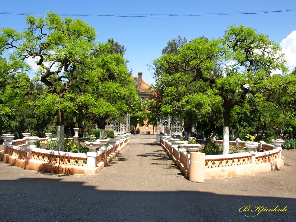 Дворик сельхозтехникума.