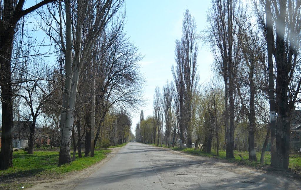 20140324 - Дорогою...