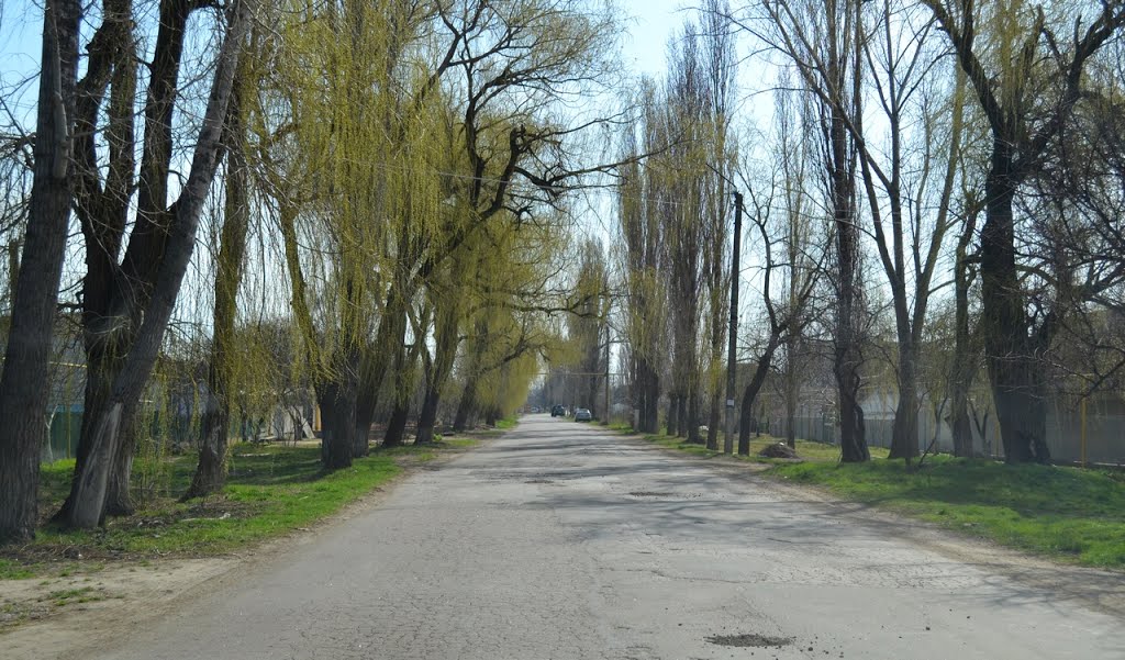 20140324 - Дорогою...