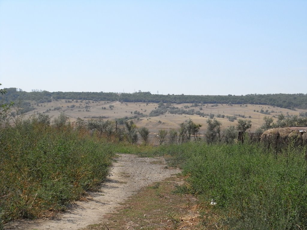 Richtung Tarutino
