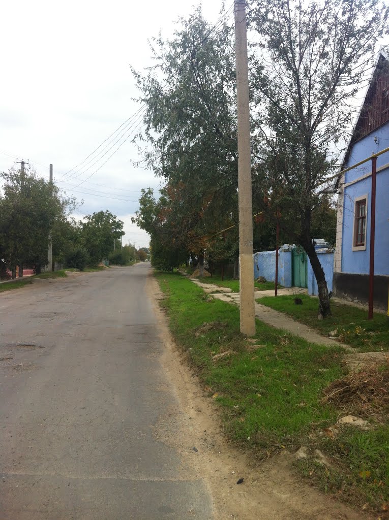 Ул. Мира ведет в центр