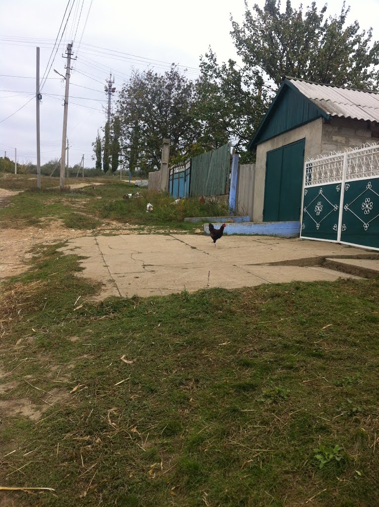 Разновидность домашнего хозяства