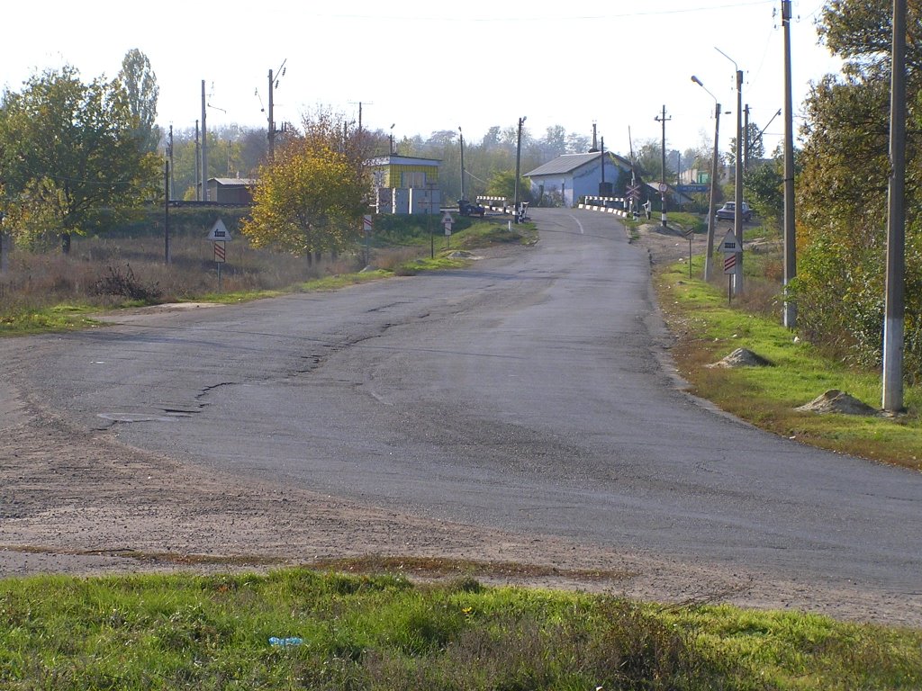 Дорога из Березовки на запад