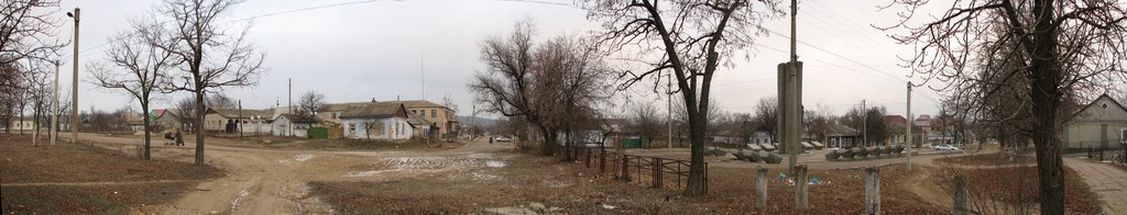 berezivka, engelsa