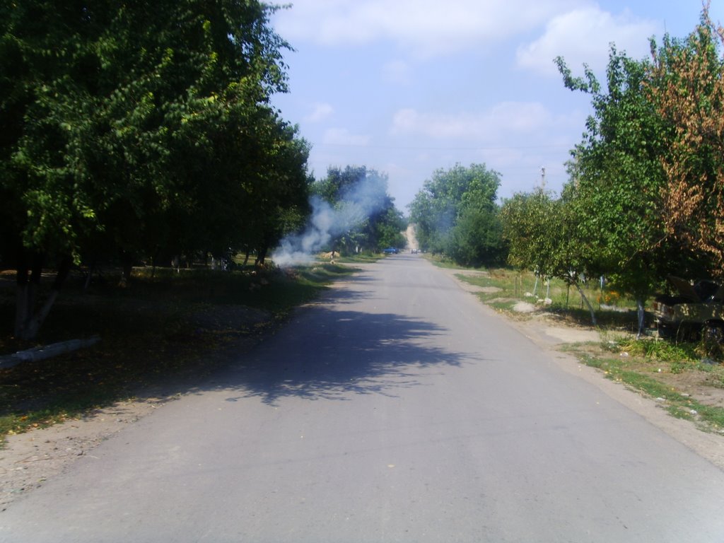 Дорога