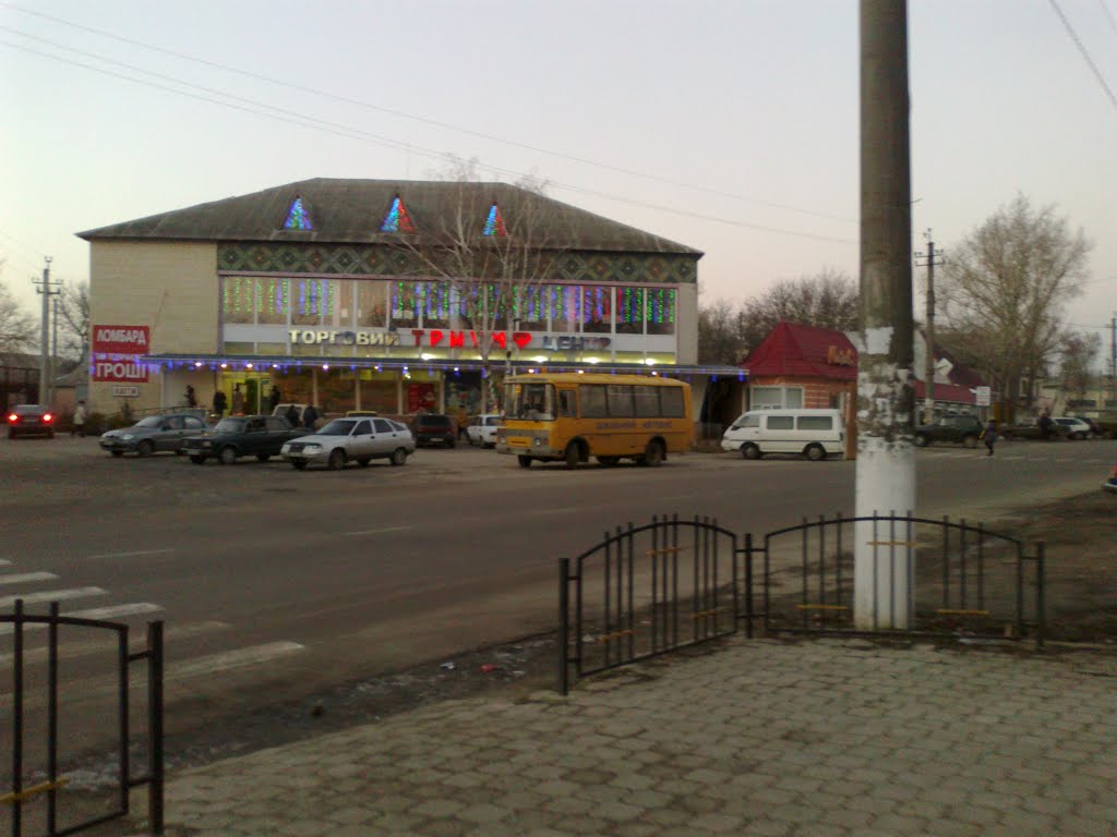 The Only Shopping Center In TOWN:)