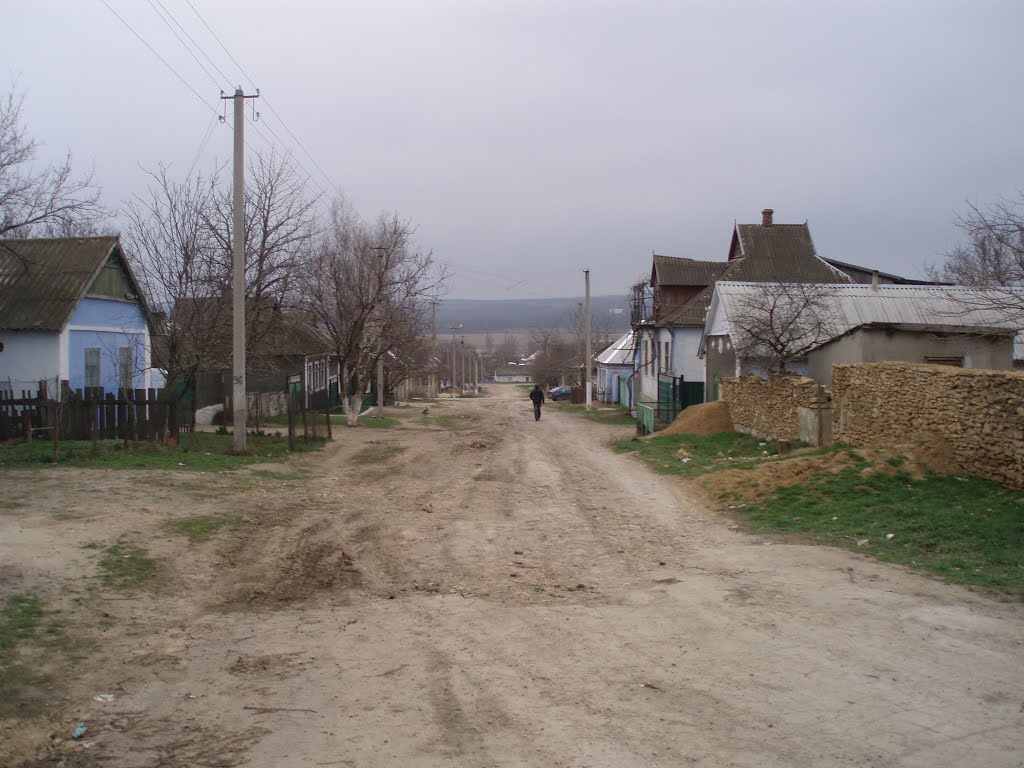 Улица