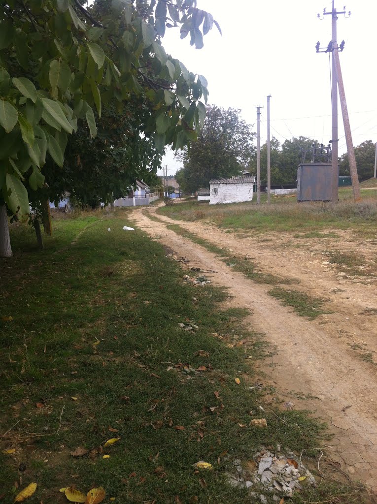 Улица Красноармейская в Березовке