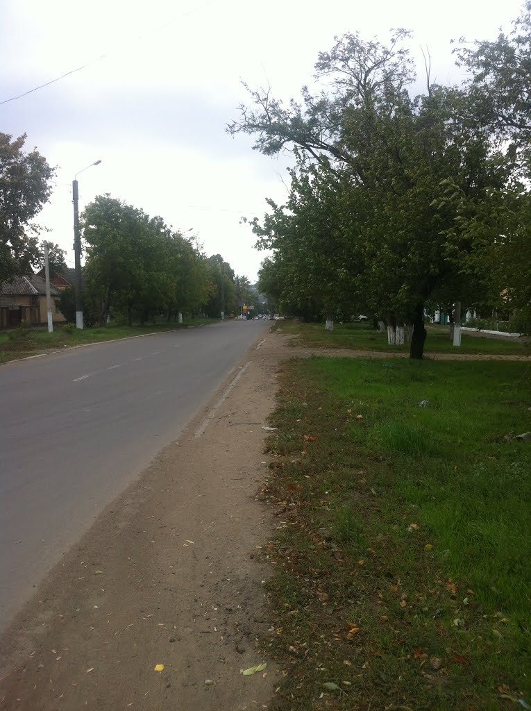 Дорога в центр города