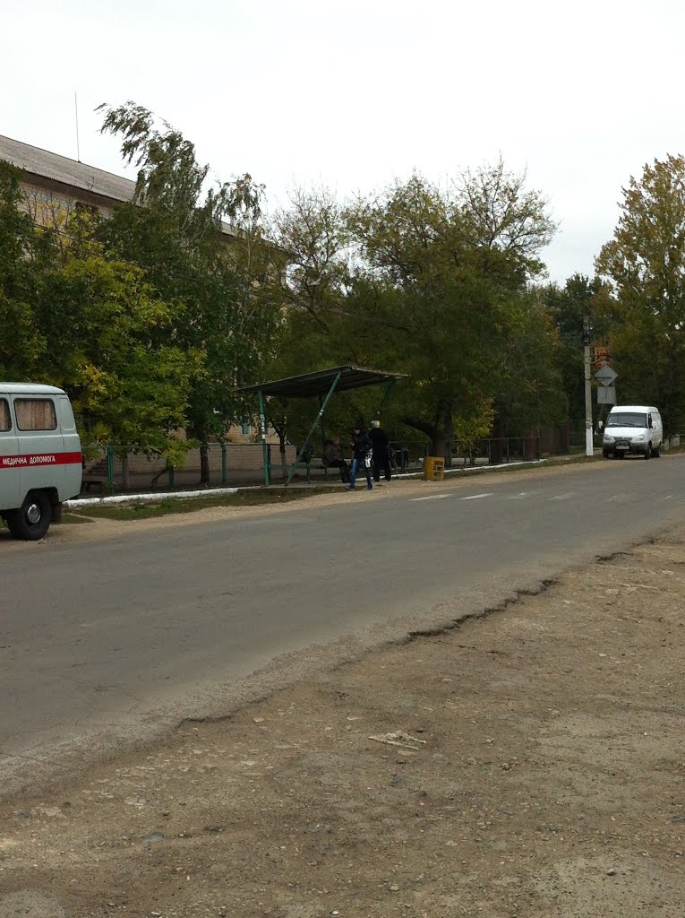 Остановка возле главного входа в поликлинику