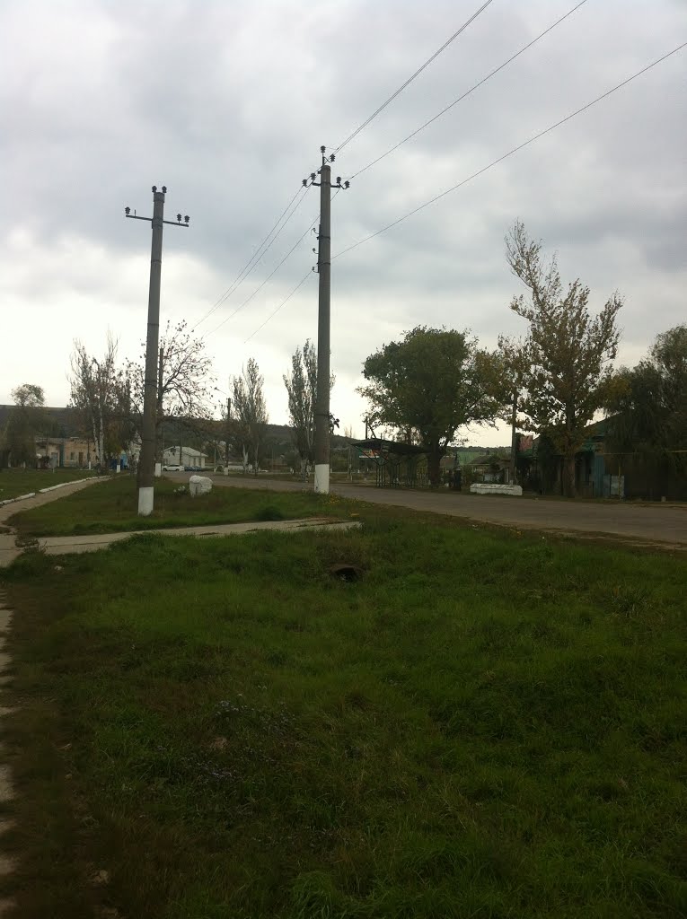Вид вдоль дороги на Одессу