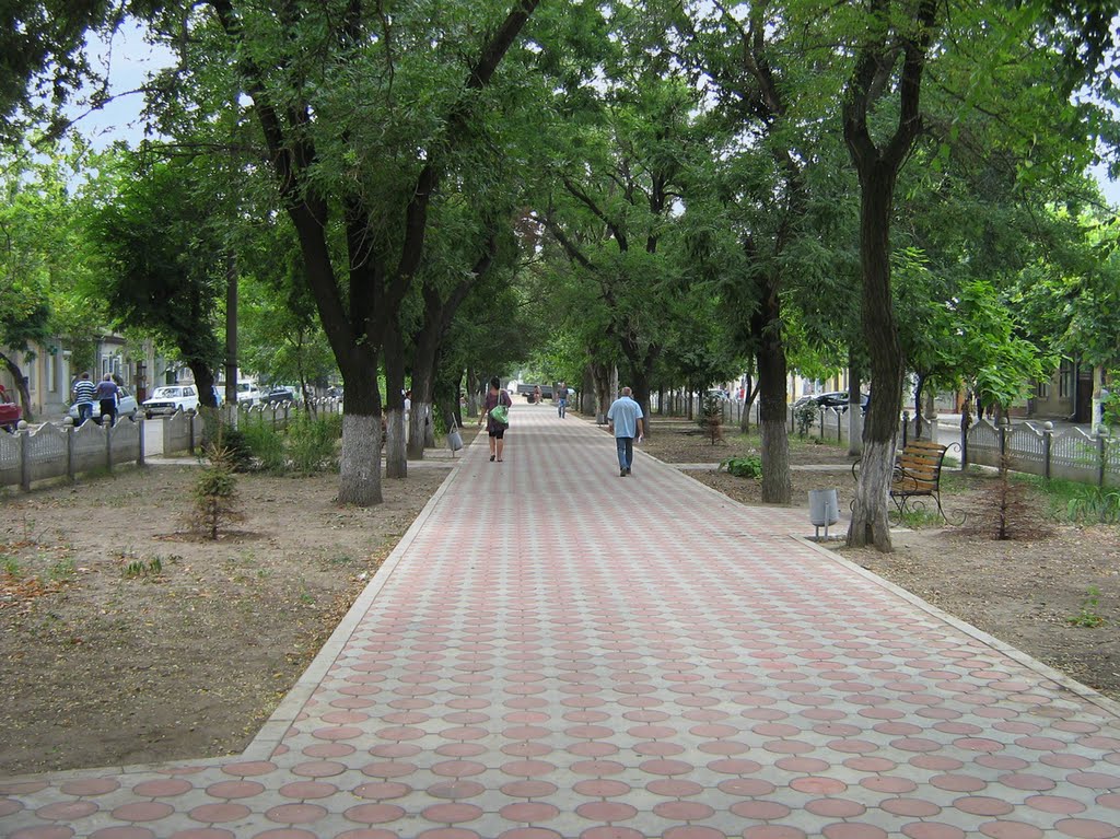 ►Аллея