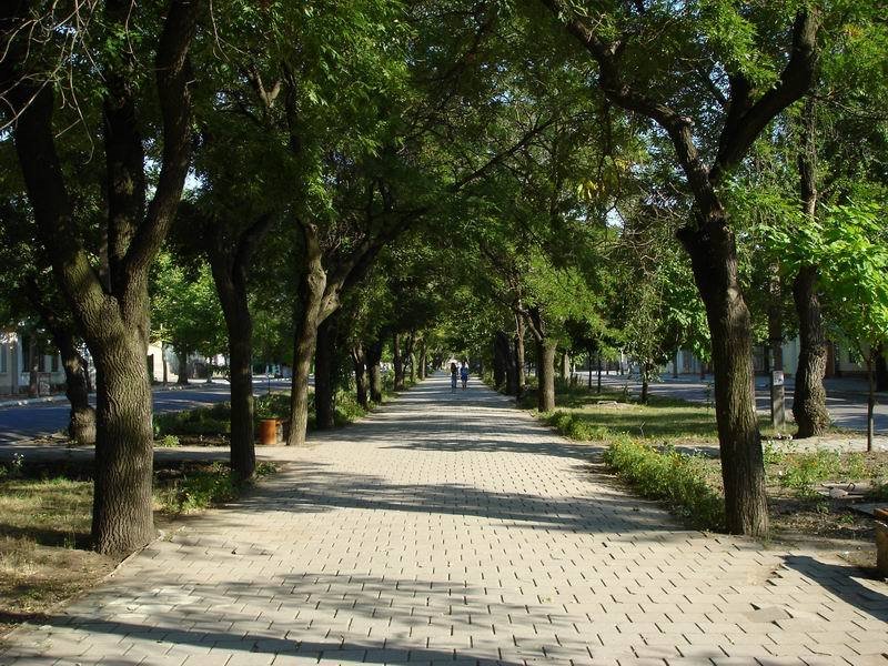 Проспект Ленина