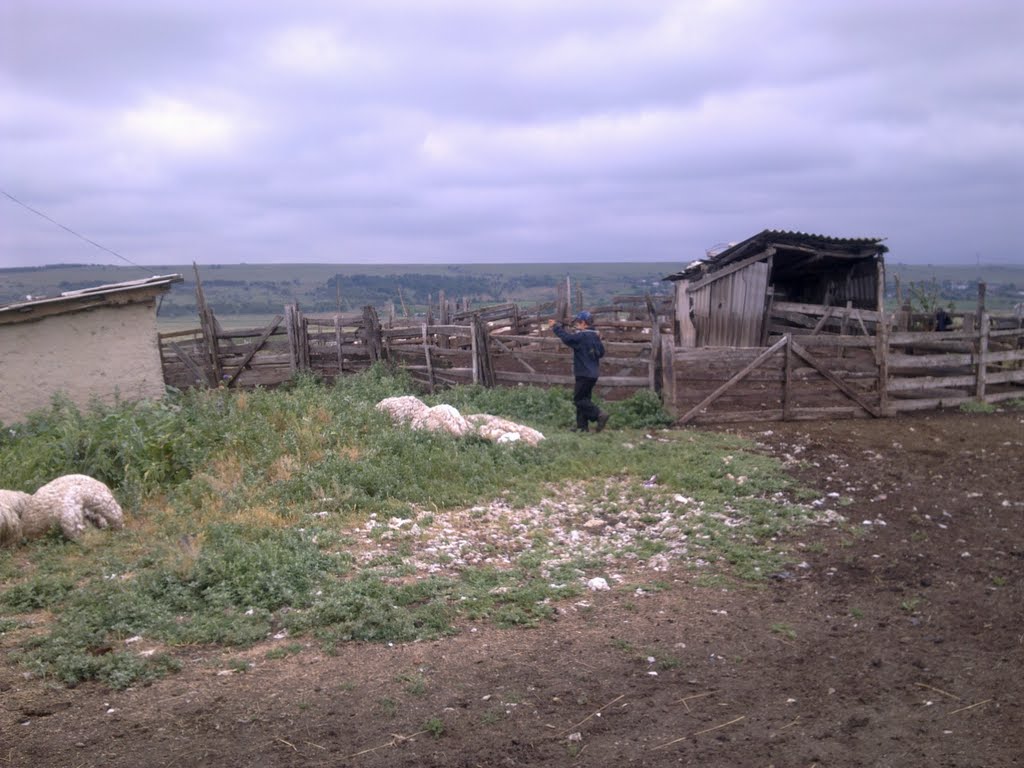 Юрьевка июнь 2010