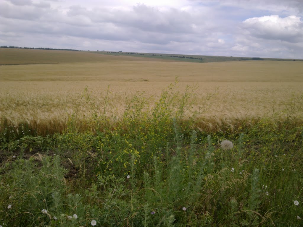 Юрьевка июнь 2010