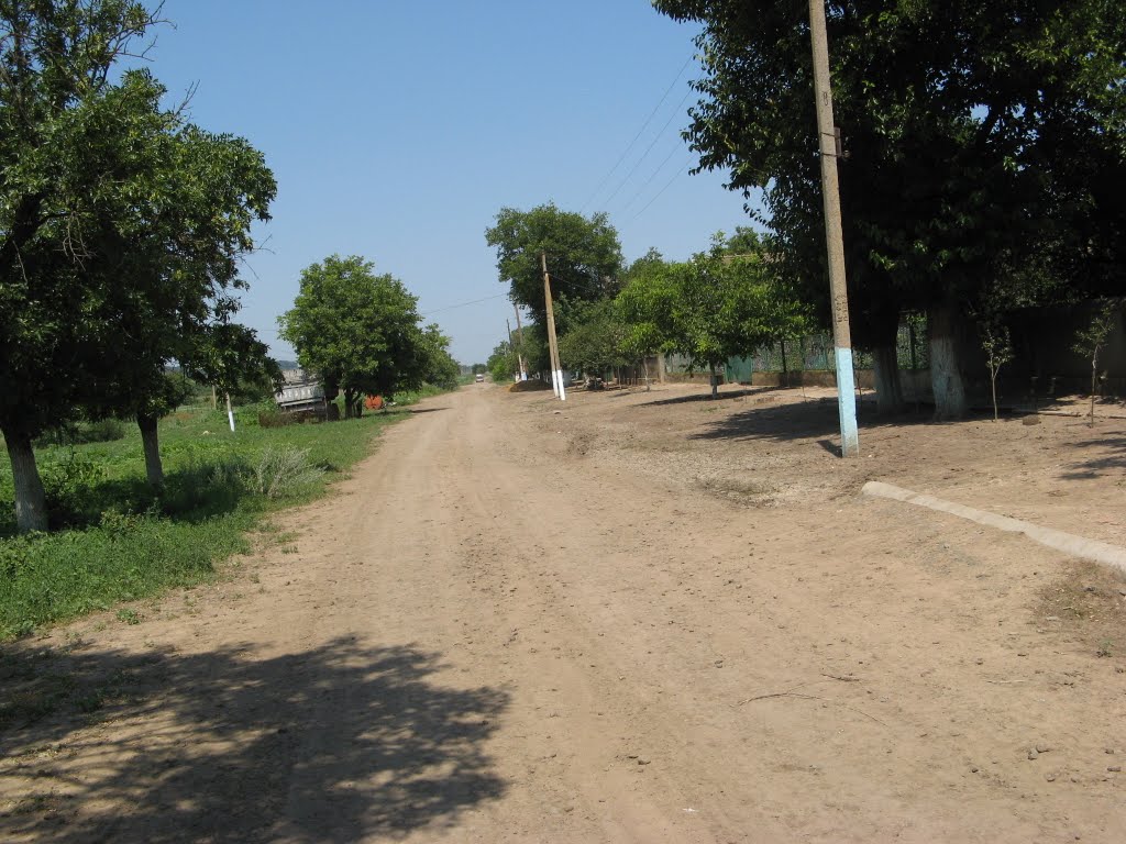с. Рівне, вул Садова