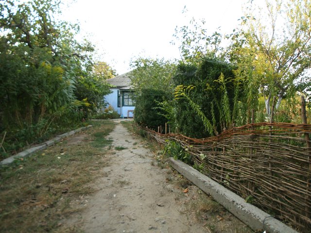Novoborysivka