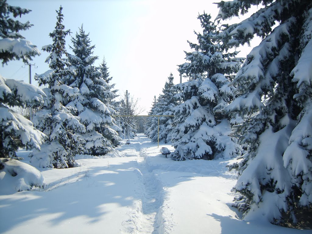 Velyka Myhaylovka,park