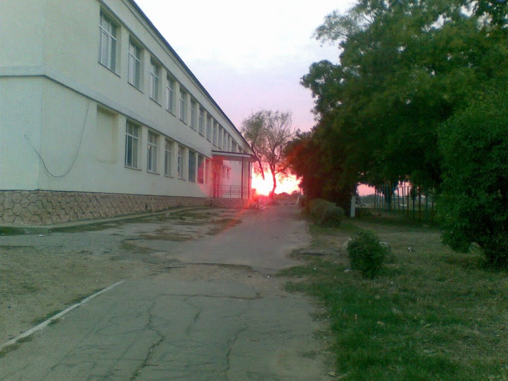 школа №1
