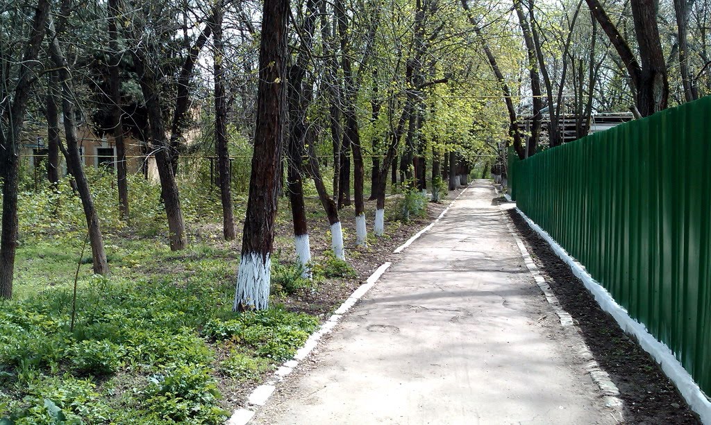 Дорожка в школу
