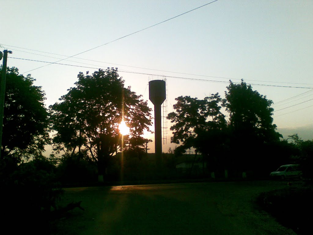 2011
