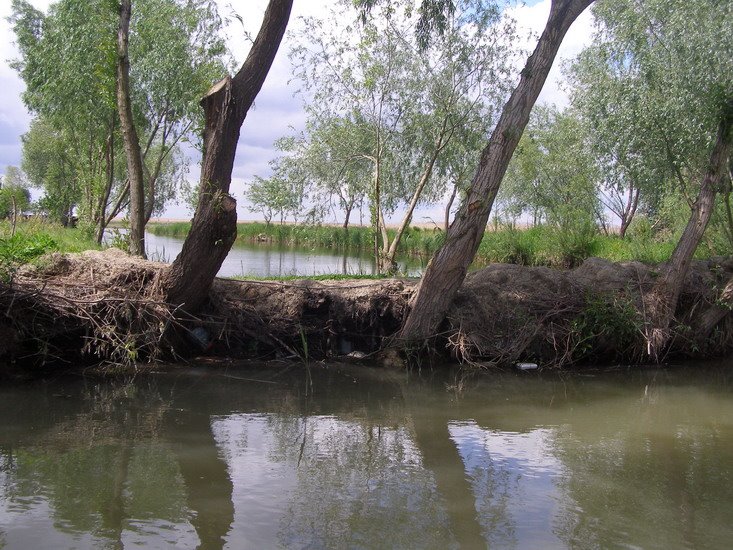 красоты Вилково.