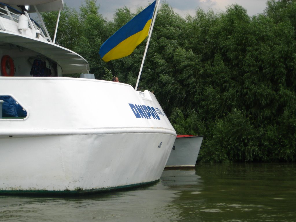 аж з Дніпра приплив ...