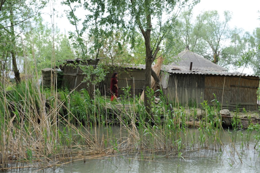Вилково