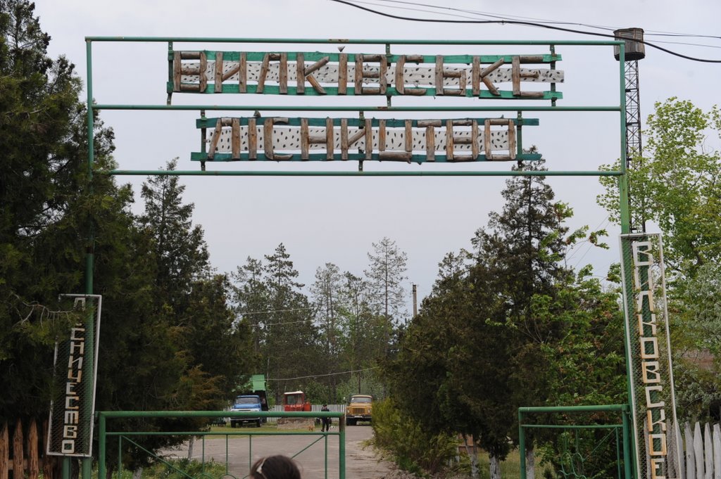 Вилково