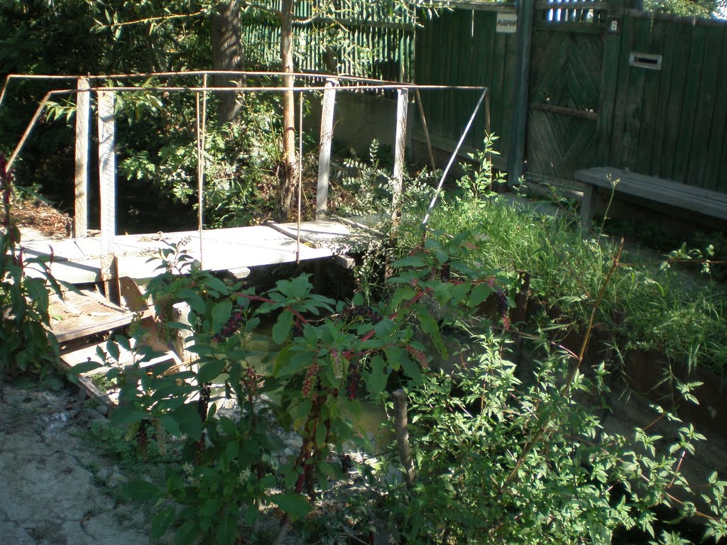 Вилково, 2010г.