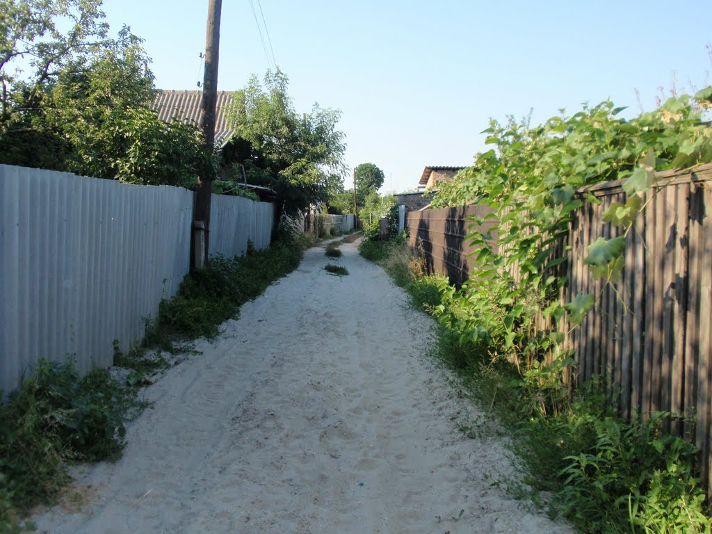Vilkovo