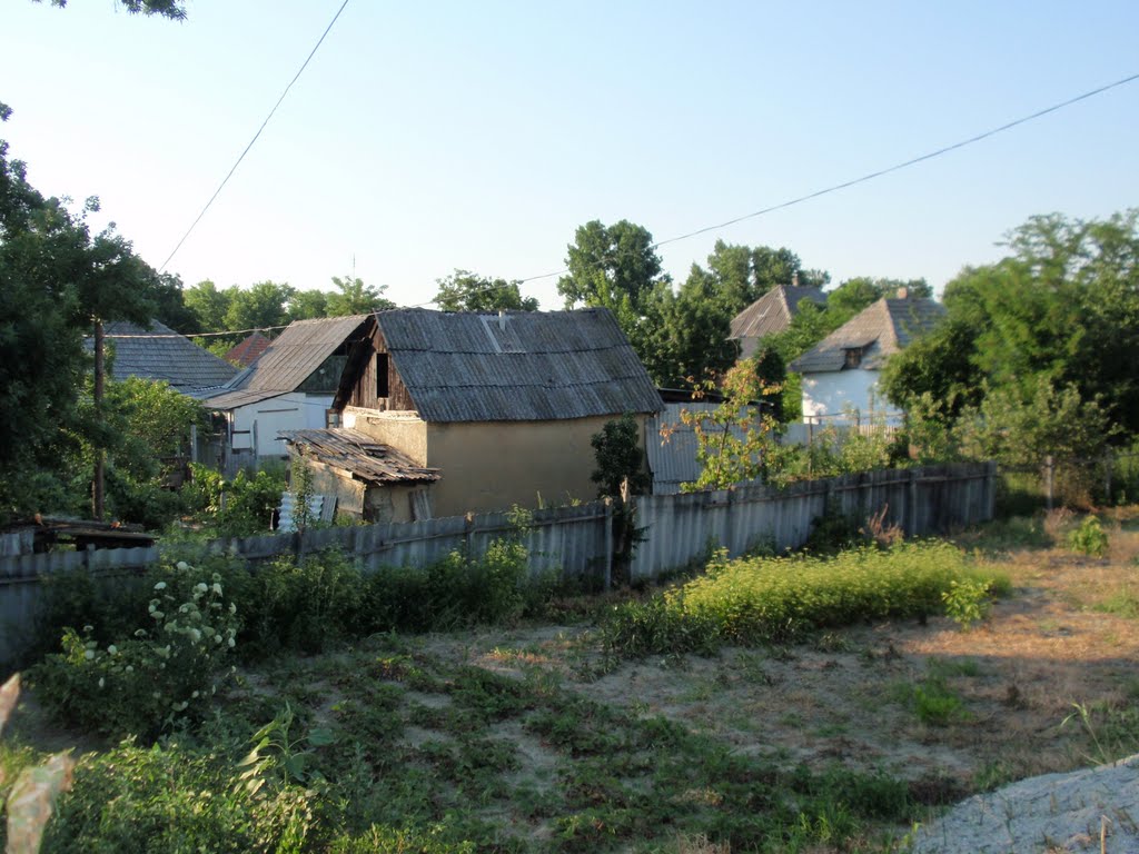 Vilkovo