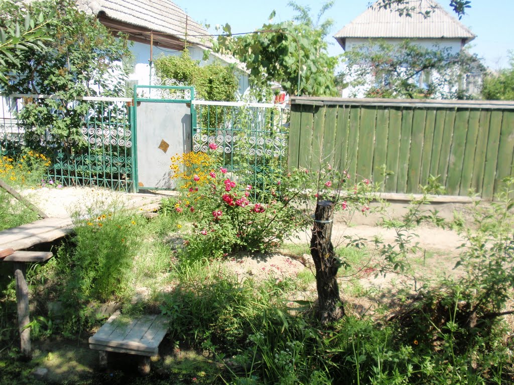 Vilkovo