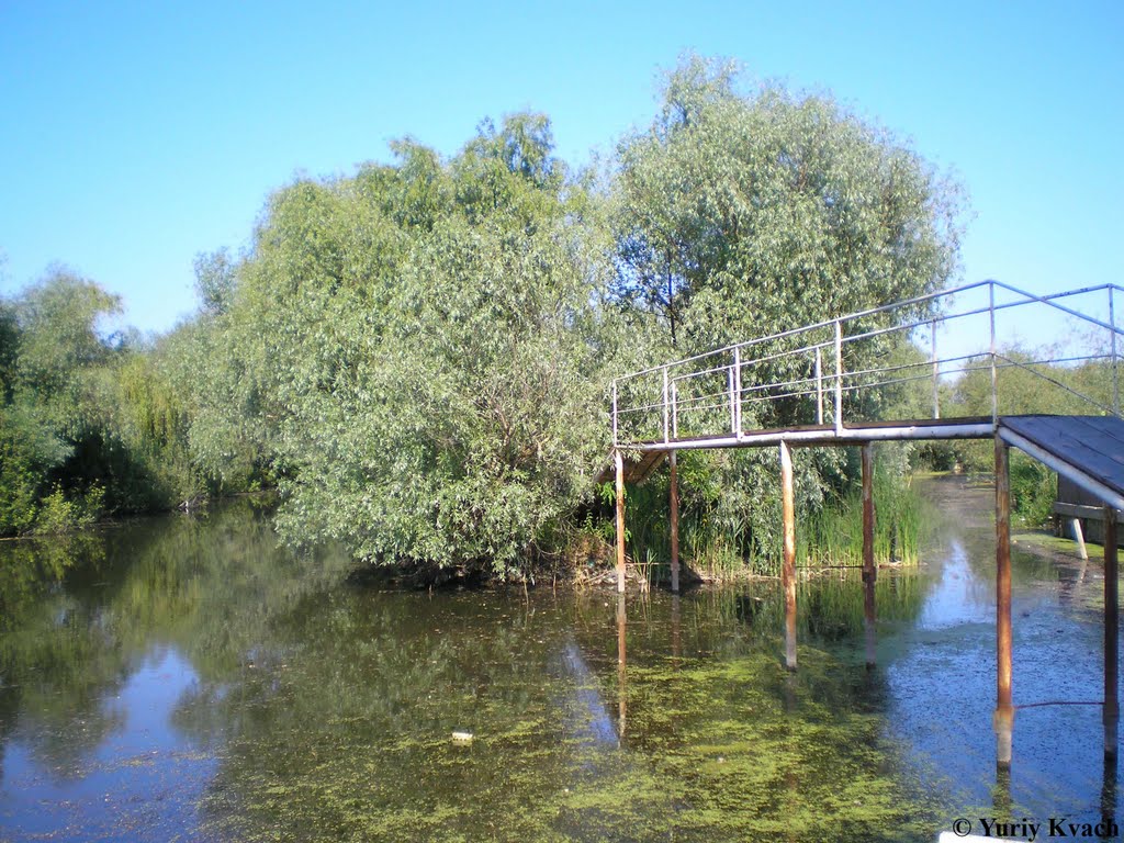 Canals in Vilkove