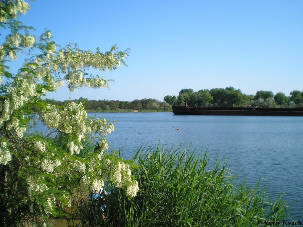 Buzunchuk Bay, Danube River